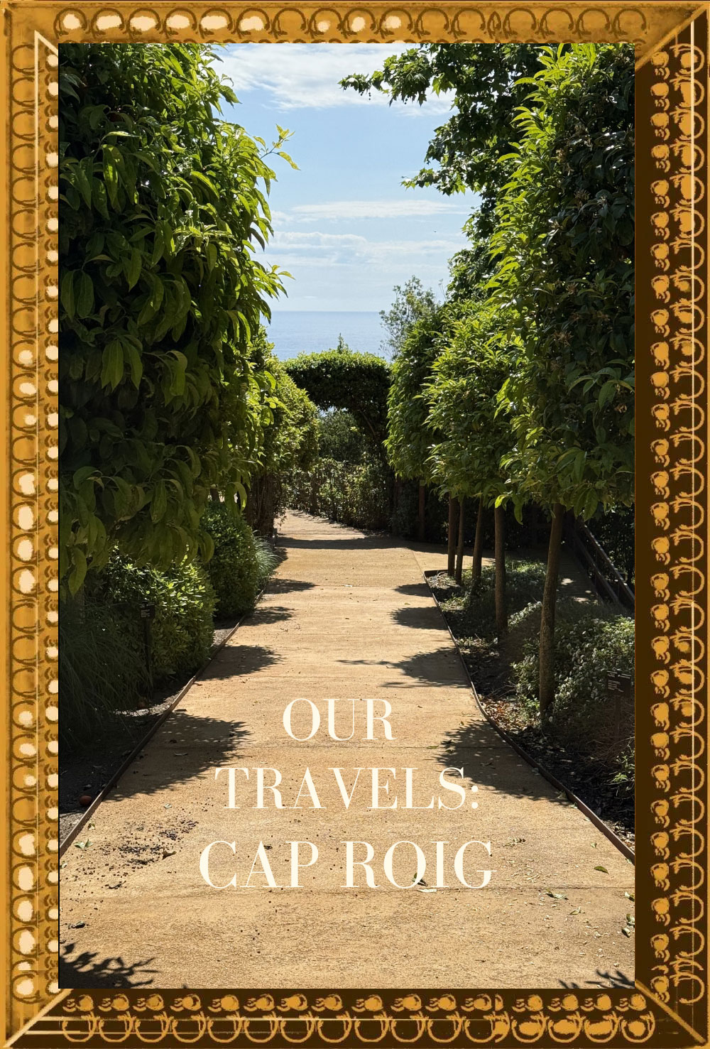 cap_rogi_bg